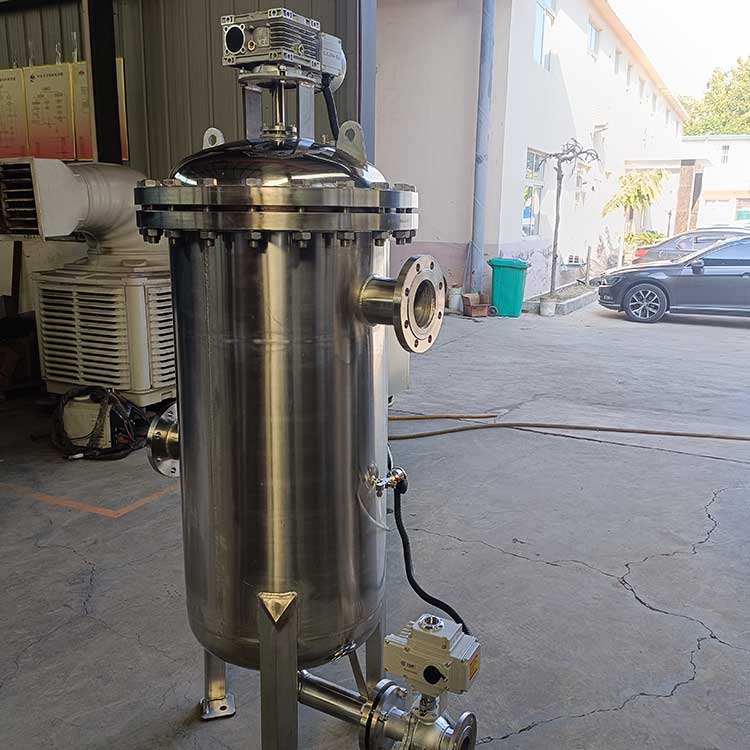 2不銹鋼自清洗過(guò)濾器-(4)